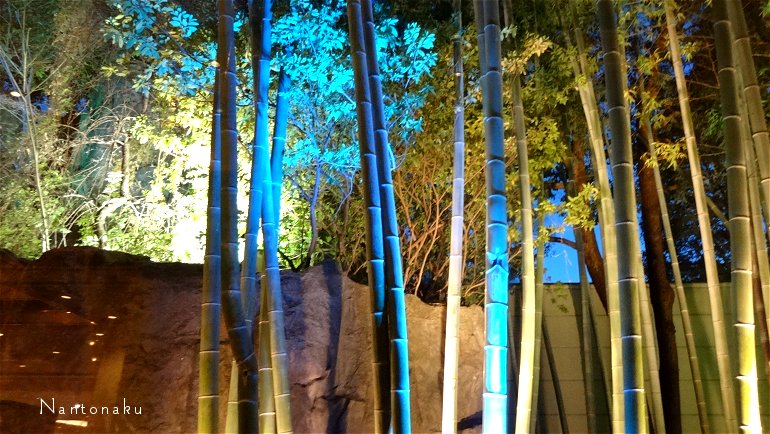 京都　竹林のライトアップ　1