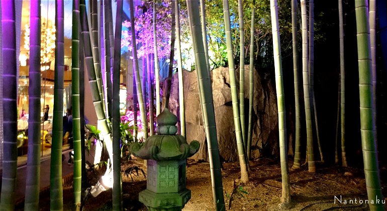 京都　竹林のライトアップ　2