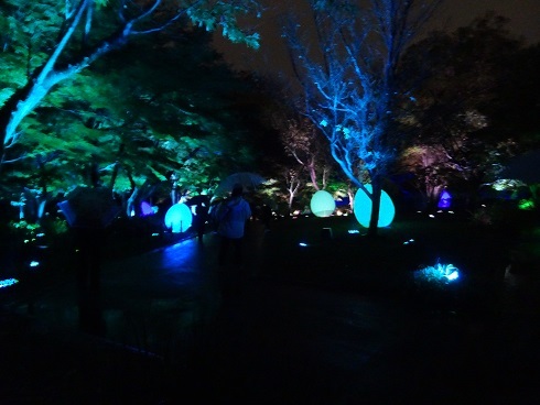 チームラボ 金沢城 光の祭