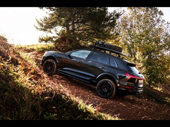 Audi Q8 e-tron edition Dakar [2024] 003