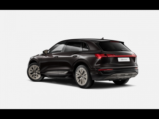 Audi Q8 e-tron advanced [2024] 002
