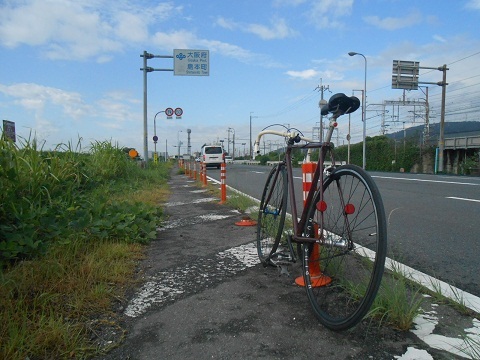 cycling2-290.jpg