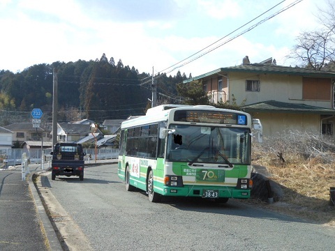 oth-bus-384.jpg
