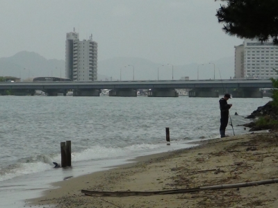 真野浜と真野川河口は立ち込み釣りのアングラーの姿をよく見掛けるようになりました（5月23日11時15分頃）