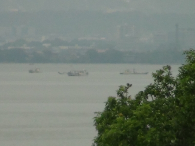 琵琶湖大橋西詰めから眺めた南湖。たくさんの漁船が走り回ってる水草のネコ市議刈り取りエリアだけが賑やかです（6月1日9時20分頃）