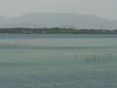 急増水の濁りが琵琶湖北湖から南湖に流れ込んで帯状になってます。この後、瀬田川洗堰が全開放水にかわったから濁りが拡がってそう･･･（6月3日9時頃）