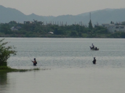 真野川河口は立ち込み釣りのアングラーが2人がんばってます。今日はボートも来てました。そろそろコアユボイルが起こる時期ですね（6月5日10時20分頃）