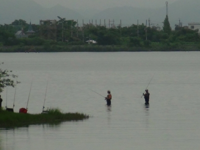 真野川高は立ち込み釣りのアングラーの姿を毎日見るようになりました（6月12日10時10分頃）