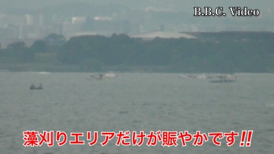 琵琶湖南湖は曇天微風のベタナギ!! 藻刈りエリアだけが賑やかです #今日の琵琶湖（YouTubeムービー 23/06/13）