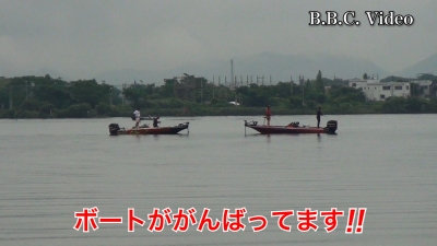雨上がり琵琶湖北湖!! ボートと立ち込み釣りで賑やかです #今日の琵琶湖（YouTubeムービー 23/06/23）