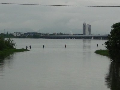 雨上がりの真野川河口は立ち込み釣りのアングラーで平日にしてはよく賑わってます。雨が降ってる間も釣りしてたんでしょうか!?（6月23日6時40分頃）