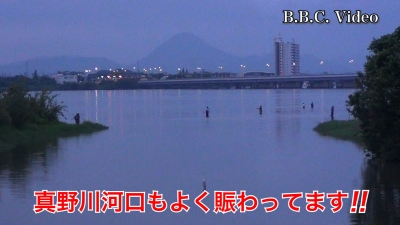 琵琶湖北湖の夜明け!! 真野浜と河口は立ち込み釣りで賑わってます #今日の琵琶湖（YouTubeムービー 23/06/24）