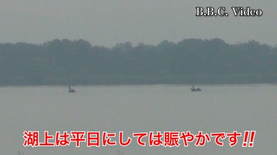 山ノ下湾から眺めた琵琶湖南湖は平日にしてはよく賑わってます!! #今日の琵琶湖（YouTubeムービー 23/06/27）