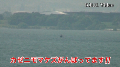 2日連続南西の強風!! 琵琶湖南湖はガランガランのガラ空きです #今日の琵琶湖（YouTubeムービー 23/06/28）
