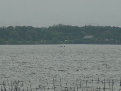 琵琶湖大橋西詰めから眺めた南湖は今日の南西の風で荒れてます。釣り中のボートは木浜沖に1隻しか視認できず（6月30日11時15分頃）