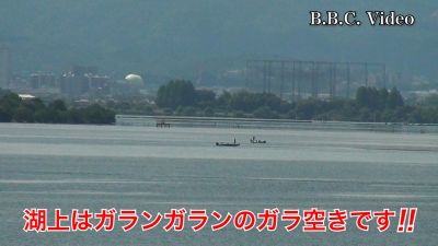 琵琶湖南湖はガランガランのガラ空きが続いてます #今日の琵琶湖（YouTube 23/08/04）