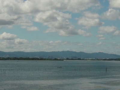 琵琶湖大橋西詰めから眺めた南湖は東寄りの風が続いてます。台風の影響かもしれませんね!!（8月5日9時頃）