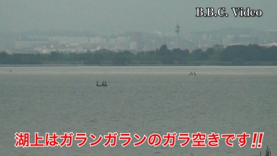 台風接近中!! 水曜日の琵琶湖はガランガランのガラ敷きです #今日の琵琶湖（YouTube 23/08/09）