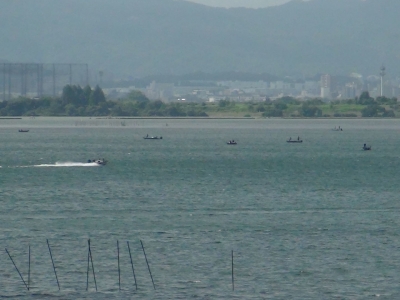 琵琶湖大橋西詰めから眺めた南湖。赤野井沖に低密度の船団ができてます（8月11日9時頃）