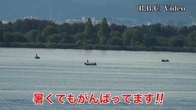 土曜日も晴天軽風のカンカン照り!! 琵琶湖は適度の賑わいです #今日の琵琶湖（YouTube 23/08/26）