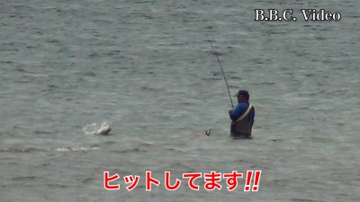 曇り空の琵琶湖!! 南湖はボートがパラパラ 立ち込み釣りにバスがヒット #今日の琵琶湖（YouTube 23/08/30）