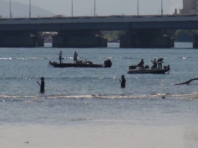 真野川河口は立ち込み釣りとボートがしのぎを削ってます（9月3日10時20分頃）
