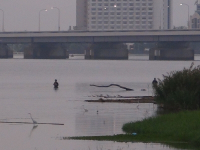 真野川河口は2人立ち込んでます（9月21日6時15分頃）