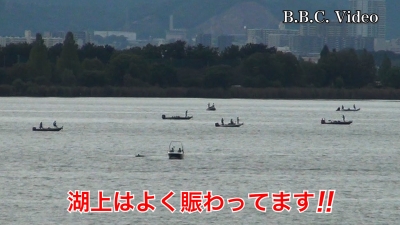 秋分の日の琵琶湖!! 湖上は大賑わい 北寄りの風が強まってます #今日の琵琶湖（YouTube 23/09/23）