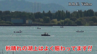 日曜日は晴天軽風の絶好の釣り日和! 琵琶湖南湖はよく賑わってます #今日の琵琶湖（YouTube 23/09/24）