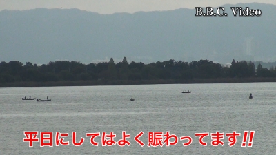 火曜日の琵琶湖南湖は曇天軽風!! 湖上は平日にしてはよく賑わってます#今日の琵琶湖（YouTube 23/10/17）