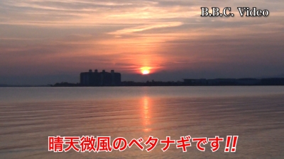 晴天ベタナギの琵琶湖北湖!! ボートも立ち込み釣りも誰もいません #今日の琵琶湖（YouTube 23/10/19）