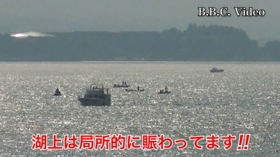晴天強風の琵琶湖南湖!! 赤野井沖に小規模船団ができてます #今日の琵琶湖（YouTube 23/10/27）