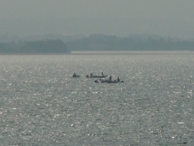 琵琶湖大橋西詰めから眺めた南湖。小規模の船団ですが、この密度は何かいいことが起こってないか気になりますね･･･笑（10月27日10時30分頃）