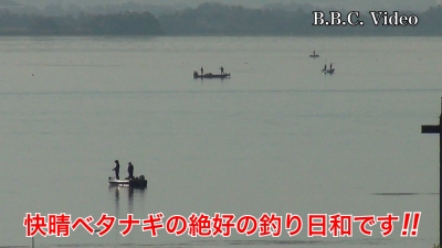 快晴ベタナギの琵琶湖!! 平日にはもったいない釣り日和です #今日の琵琶湖（YouTube 23/10/31）