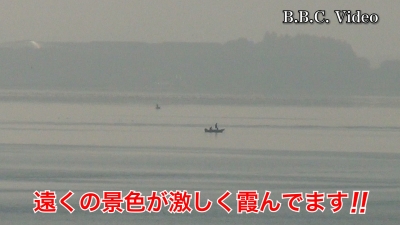 秋晴れベタナギ続きの琵琶湖南湖!! 湖上は空いてます #今日の琵琶湖（YouTube 23/11/01）
