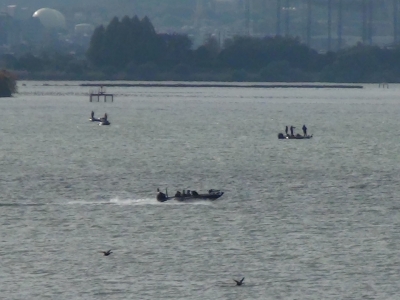 琵琶湖大橋西詰めから眺めた南湖は釣り中のボートがパラパラ。走行中のバスボートも見えます。風が強くてもがんばってますね!!（11月11日9時頃）