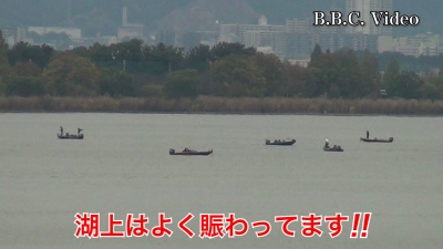 日曜日は曇天ベタナギの琵琶湖南湖!! 湖上はよく賑わってます#今日の琵琶湖（YouTube 23/11/12）