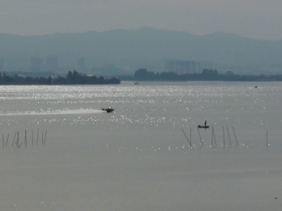 琵琶湖大橋西詰めから眺めた南湖は緩やかな東寄りの風が吹くベタナギで柔らかな日が射す絶好の釣り日和でした（11月16日10時40分頃）