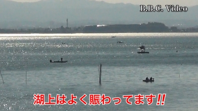 琵琶湖南湖は土曜日も南西の風!! 湖上はよく賑わってます #今日の琵琶湖（YouTube 23/11/19）