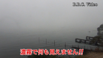 霧の琵琶湖南湖!! すぐ近くが見えない濃霧から1時間後には晴れました #今日の琵琶湖（YouTube 23/11/21）