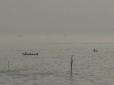 琵琶湖大橋西詰めから眺めた南湖は10時を過ぎても霧が晴れ切らず遠くの景色が見えません。湖上はたくさんのボートでよく賑わってます（11月23日10時30分頃）