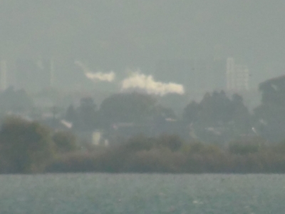 山ノ下湾から眺めた琵琶湖南湖は南寄りの強風で対岸の煙突の煙が真横に流されてます（11月29日9時20分頃）