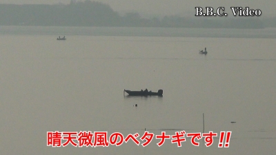 晴天微風の琵琶湖南湖!! 湖上はベタナギガラ空きです #今日の琵琶湖（YouTube 23/12/30）