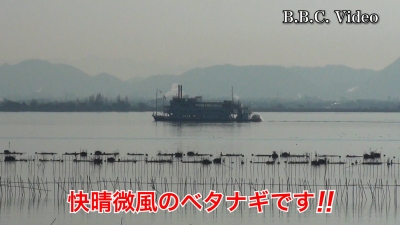 山ノ下湾から眺めた琵琶湖南湖は快晴軽風!! 絶好の釣り日和です #今日の琵琶湖（YouTube 24/01/30）