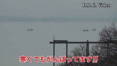 曇天ベタナギの琵琶湖南湖!! 寒くてもがんばってるボートが見えます #今日の琵琶湖（YouTube 24/01/31）