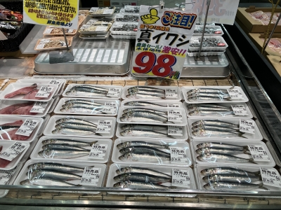 近くのスーパートクヤで長崎県産巨大マイワシ3尾98円（税別）