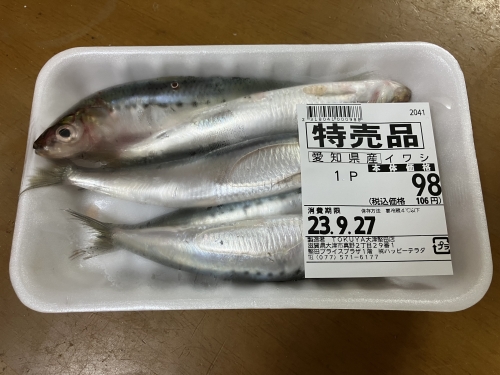 愛知県産マイワシが5尾98円（税別）