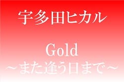 20230916_宇多田ヒカル「Gold ～また逢う日まで～」_小大
