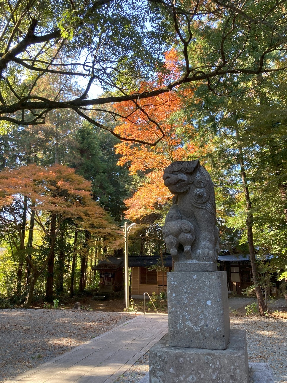 20231203 akiru-shrine-24