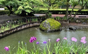 花の池